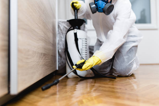 Best Pest Control Near Me in Elk Ridge, UT