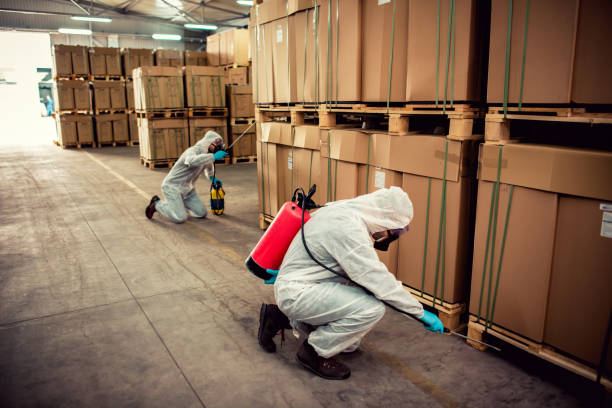 Best Mosquito Control Services  in Elk Ridge, UT