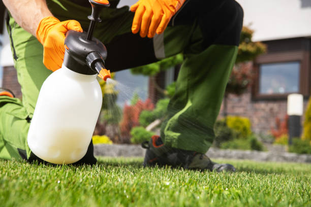 Best Commercial Pest Control Services  in Elk Ridge, UT