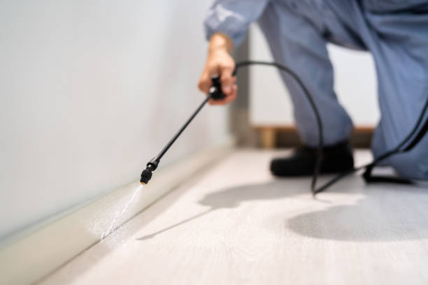 Professional Pest Control in Elk Ridge, UT
