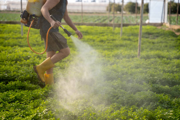 Best Best Pest Control Companies  in Elk Ridge, UT