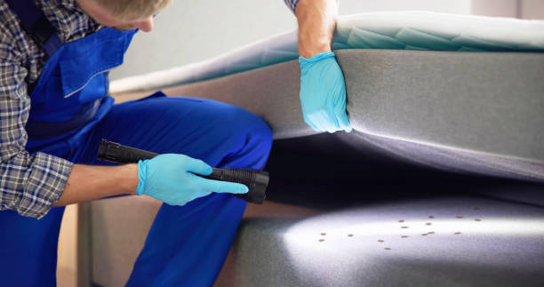 Best Bed Bug Extermination  in Elk Ridge, UT