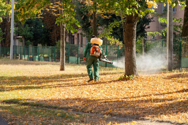 Best Emergency Pest Control  in Elk Ridge, UT