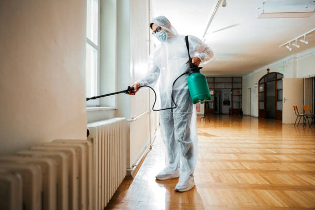 Best Affordable Pest Control Services  in Elk Ridge, UT
