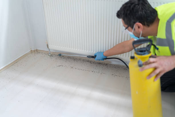 Best Best Pest Control Near Me  in Elk Ridge, UT